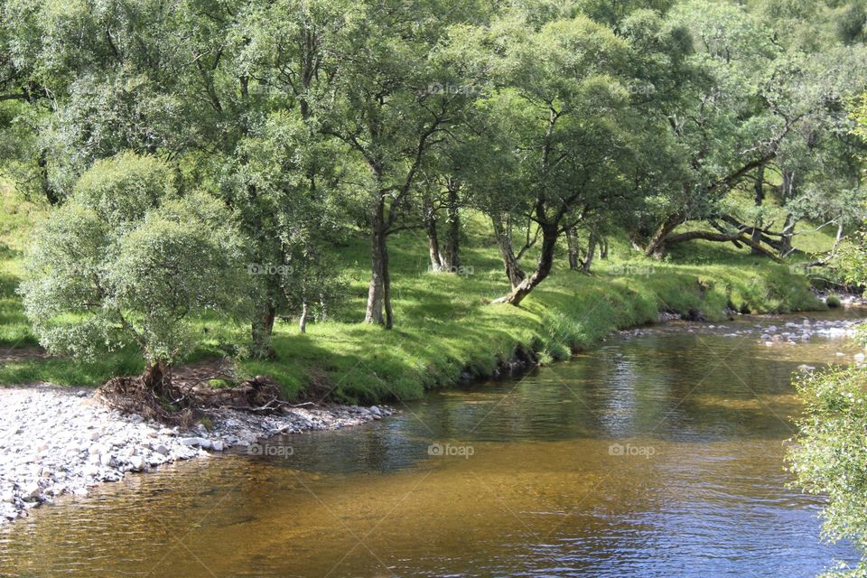 Water, Nature, River, Landscape, Tree