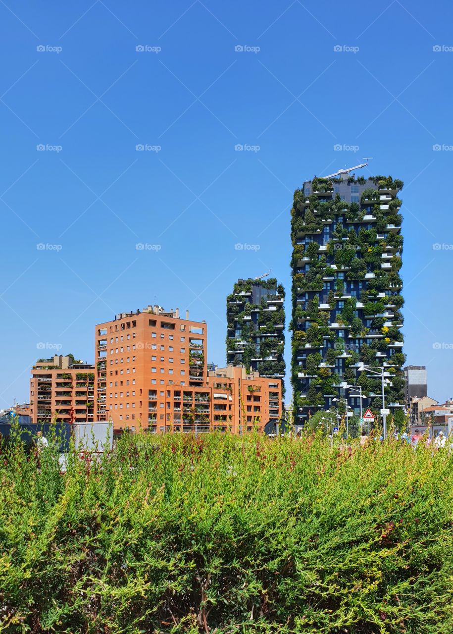 Vertical forest, modern architecture of Milan