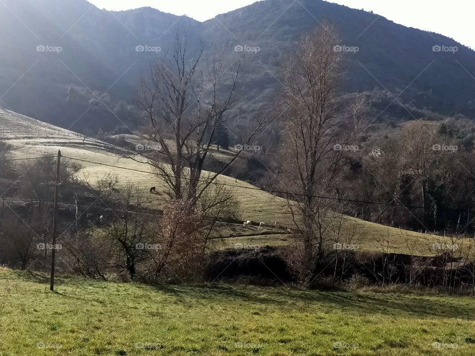 Dans le calme naturel