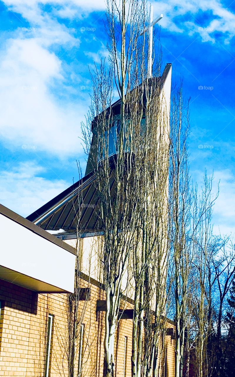 Tree patter near a church
