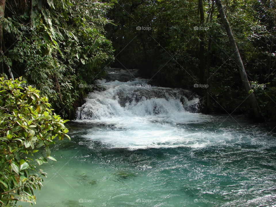 River, Jalapão, Tocantins.