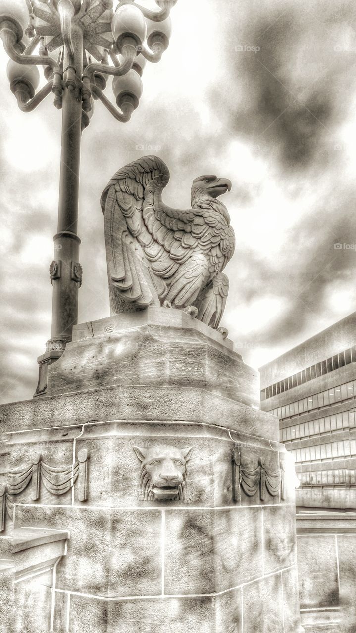 the griffin. taken on way home from work