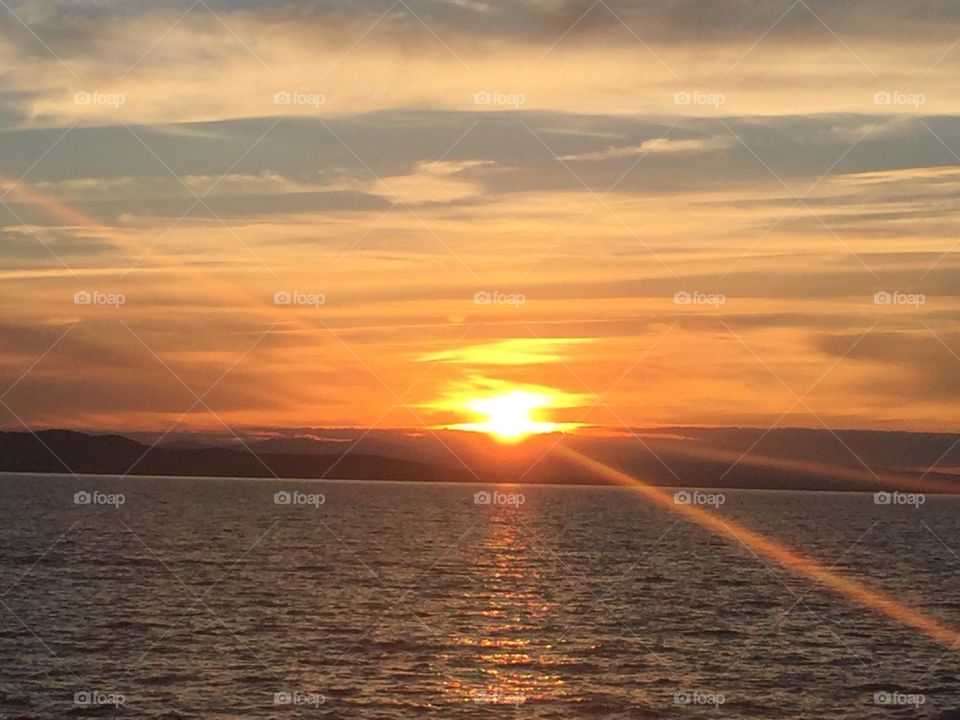 Illuminating Sunray's!