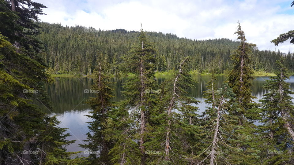 reflection lake