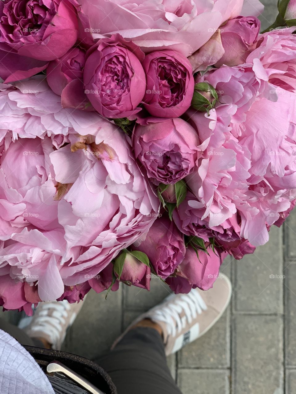Peonies. Peony roses. Dusty pink color