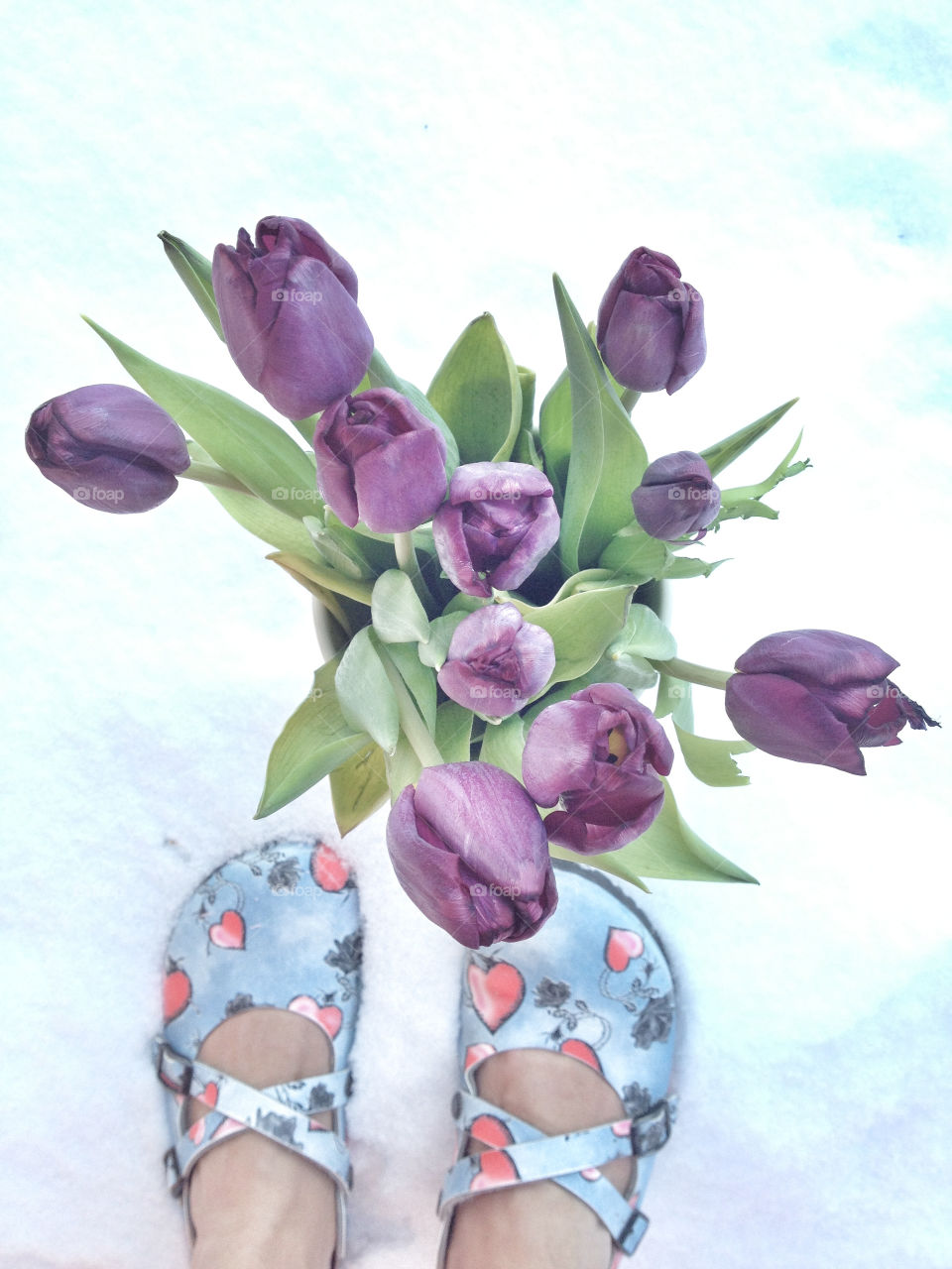 purple tulips and heart slippers