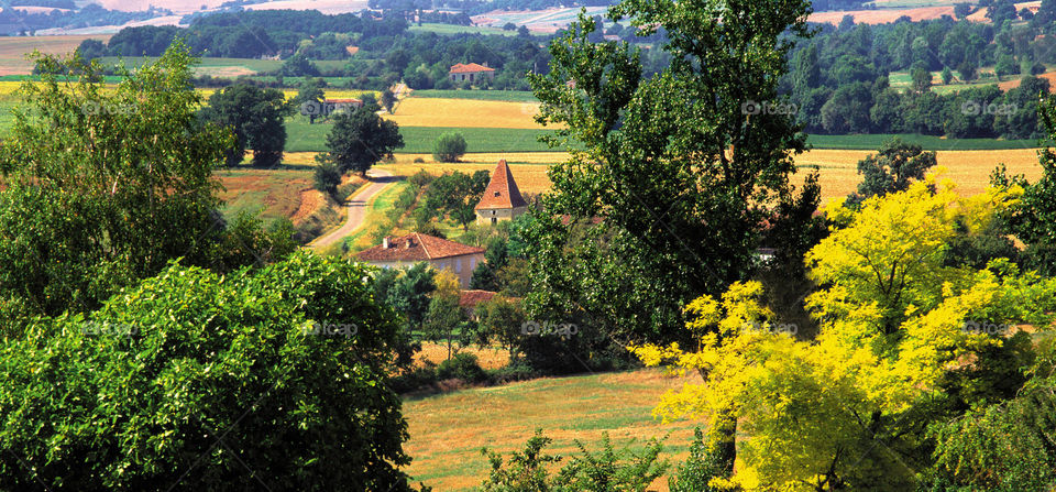 Gascony