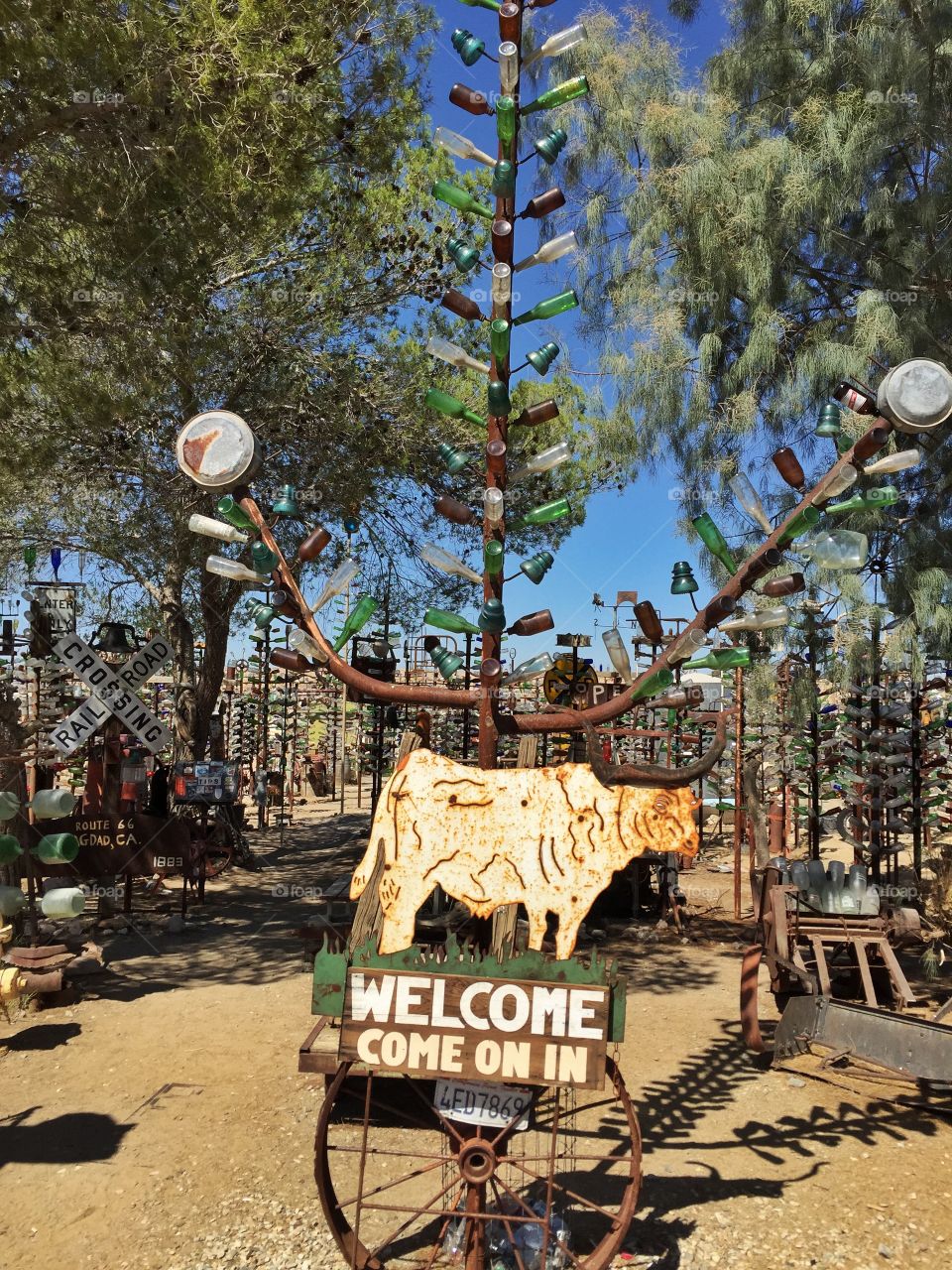 Bottle tree ranch. In front of the Bottle tree ranch on the route 66