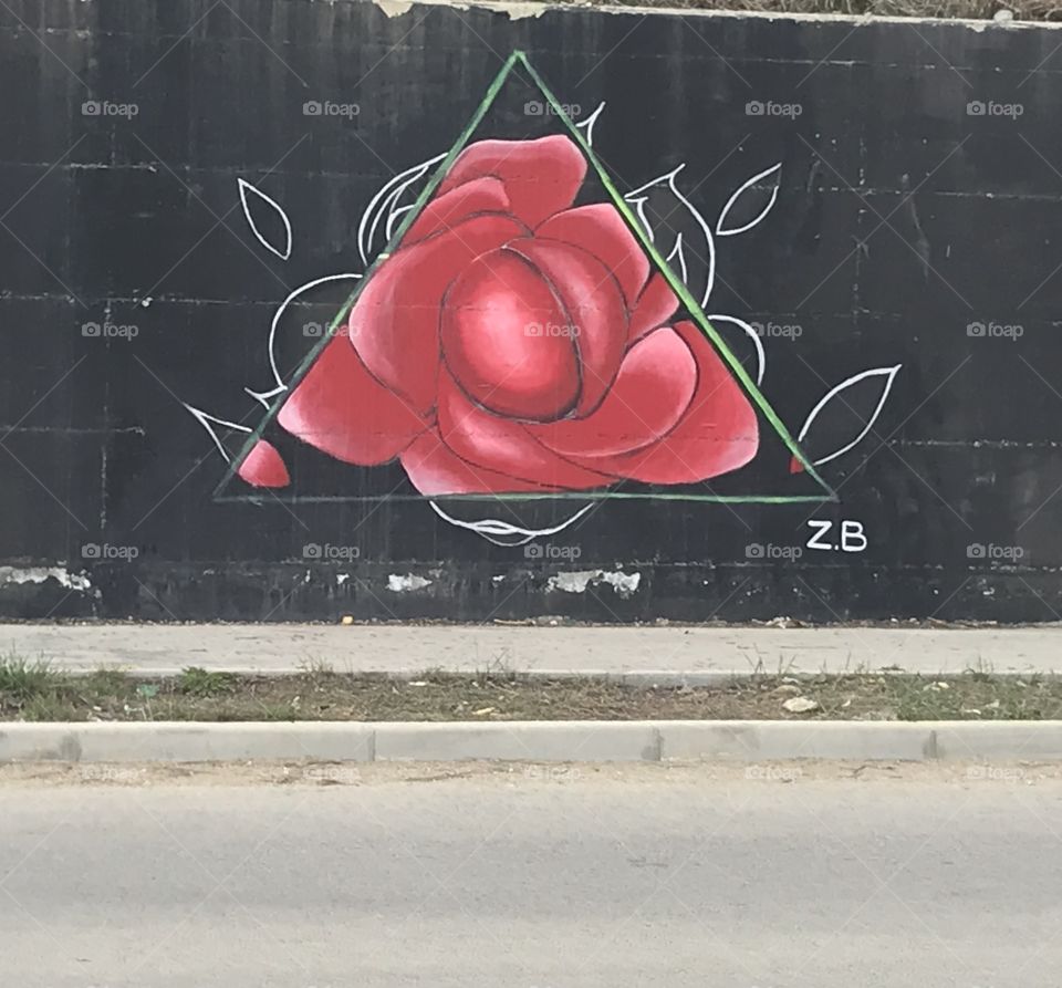 I am not sure if it‘s just a red rose or?