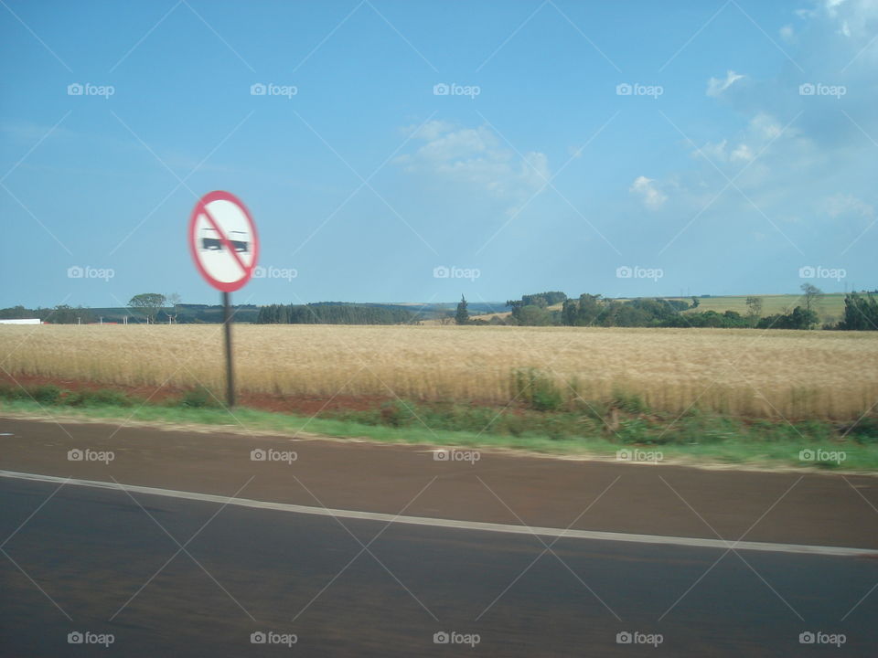 PFLANZEN HORIZONT LANDSCHAFT UMWELT