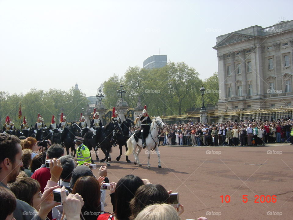 the royal horseguards
