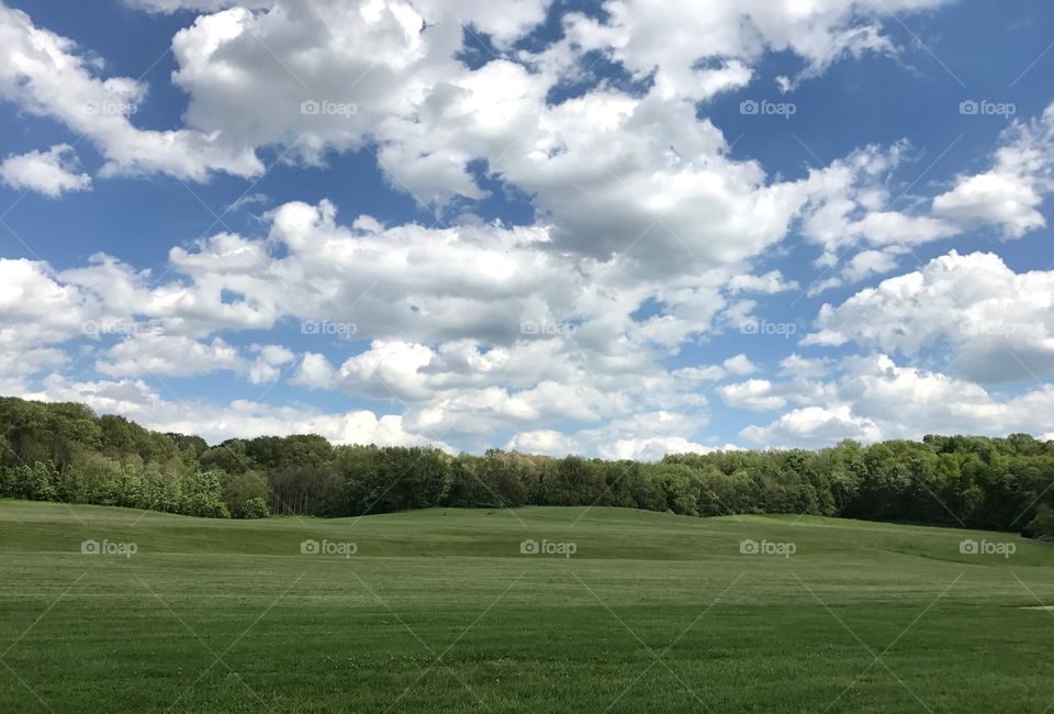 Scenic view of green meadow and trees