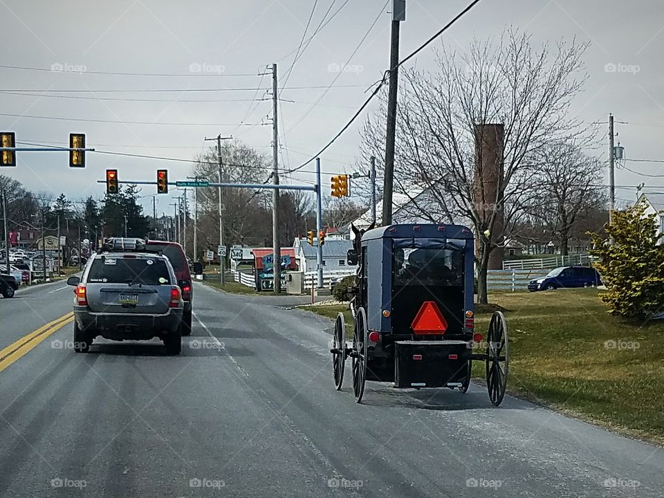 Amish Market Day