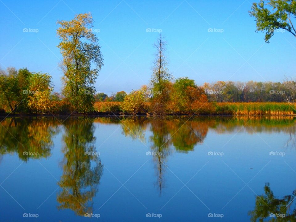 Reflection, Lake, Nature, Water, Tree