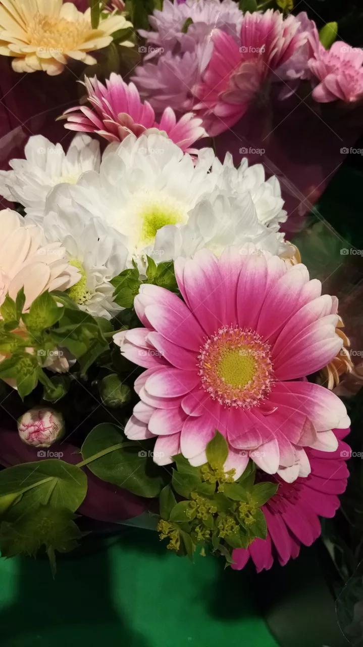 Blumen