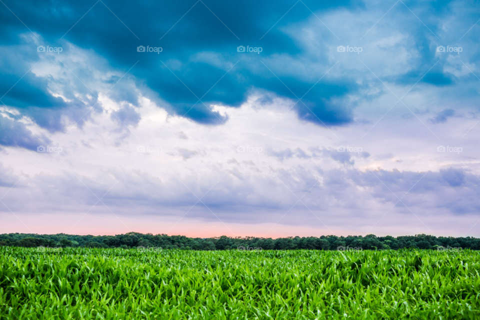 landscape sky field farmland by stockelements