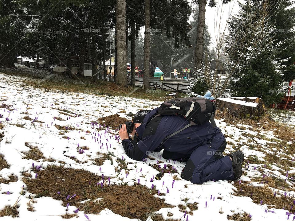 Chasing the first spring crocus