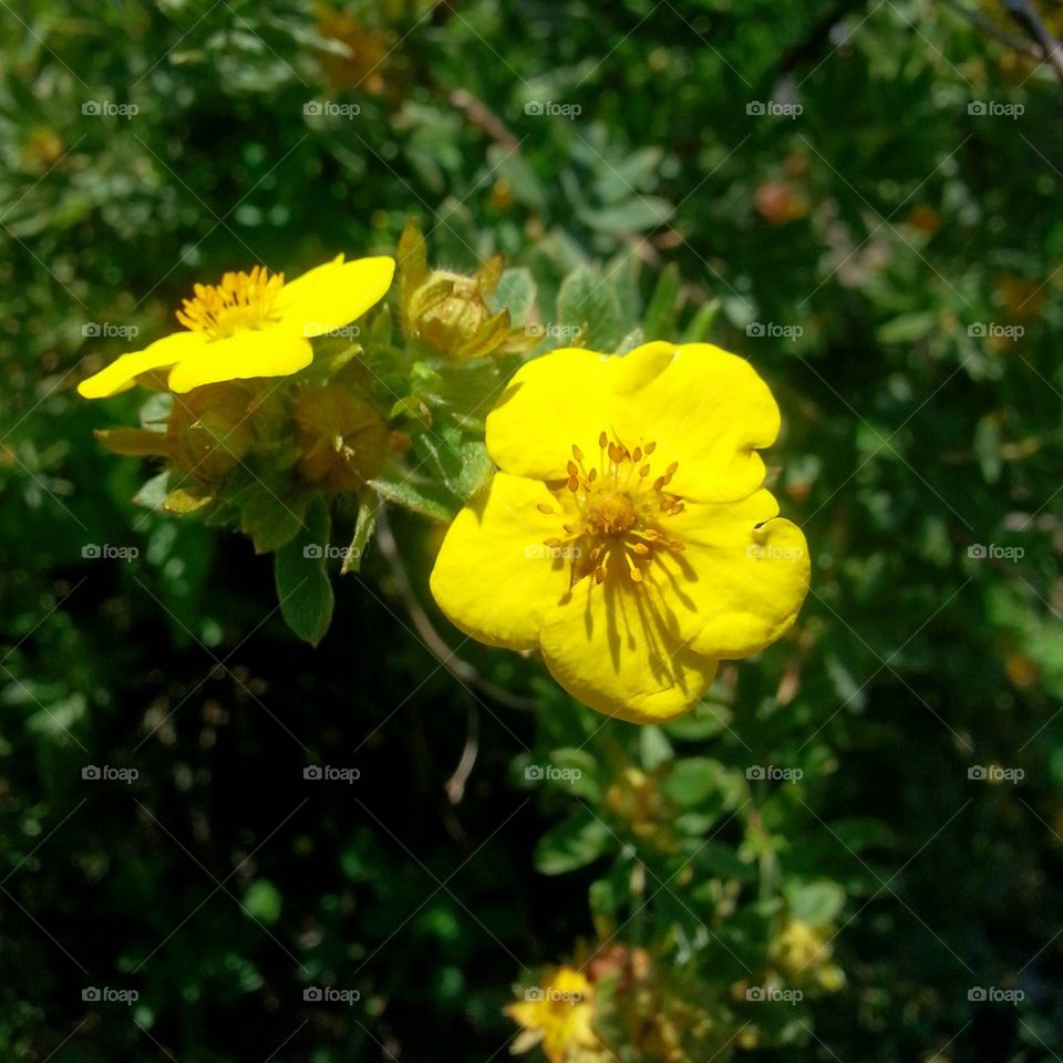 Bright and Beautiful