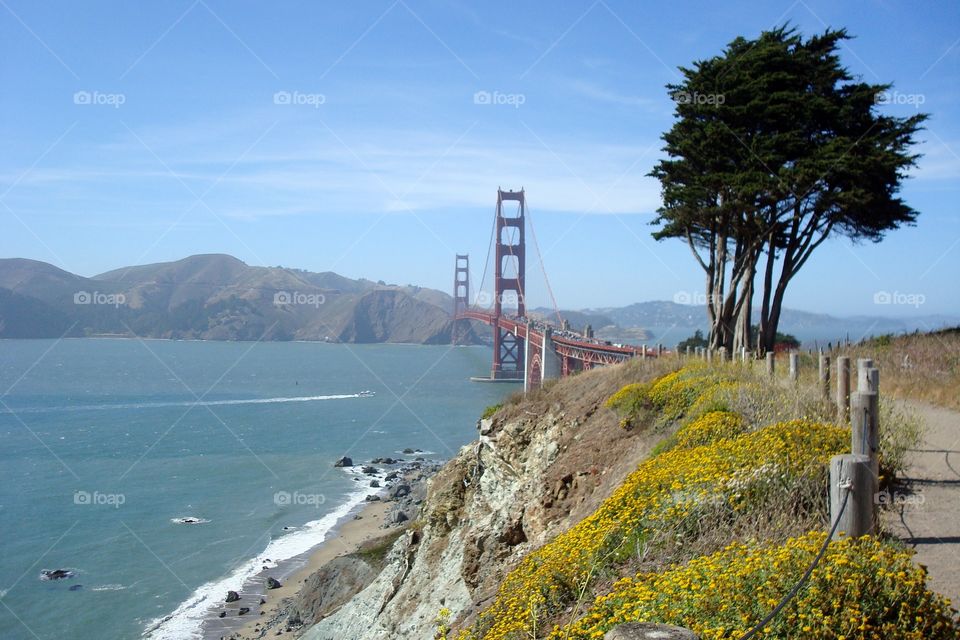 Golden Gate Bridge