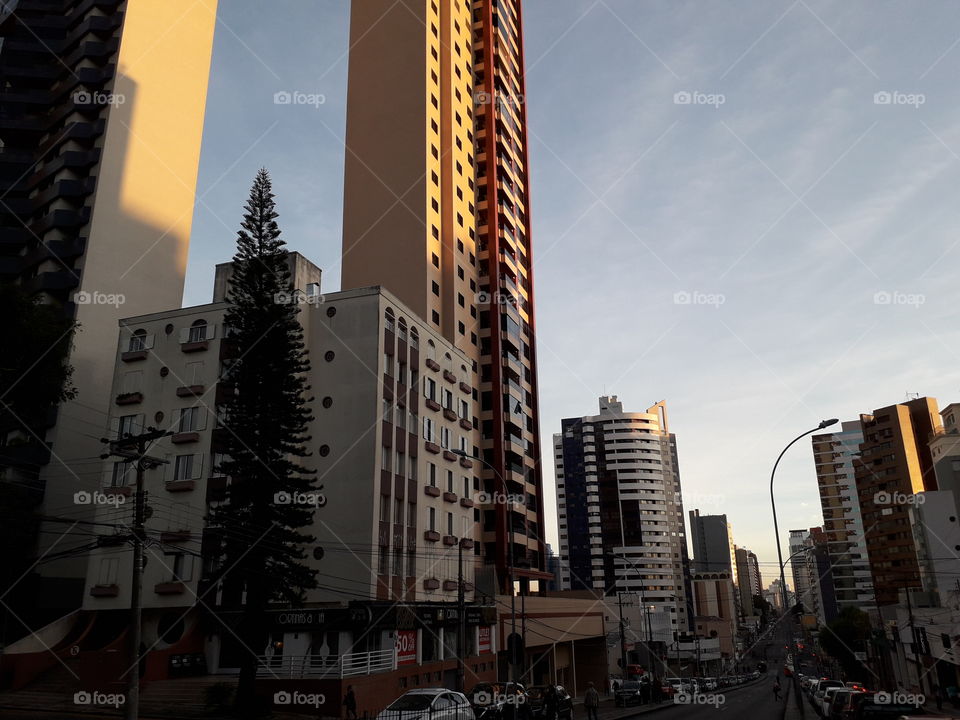 Curitiba's buildings in sunny day.