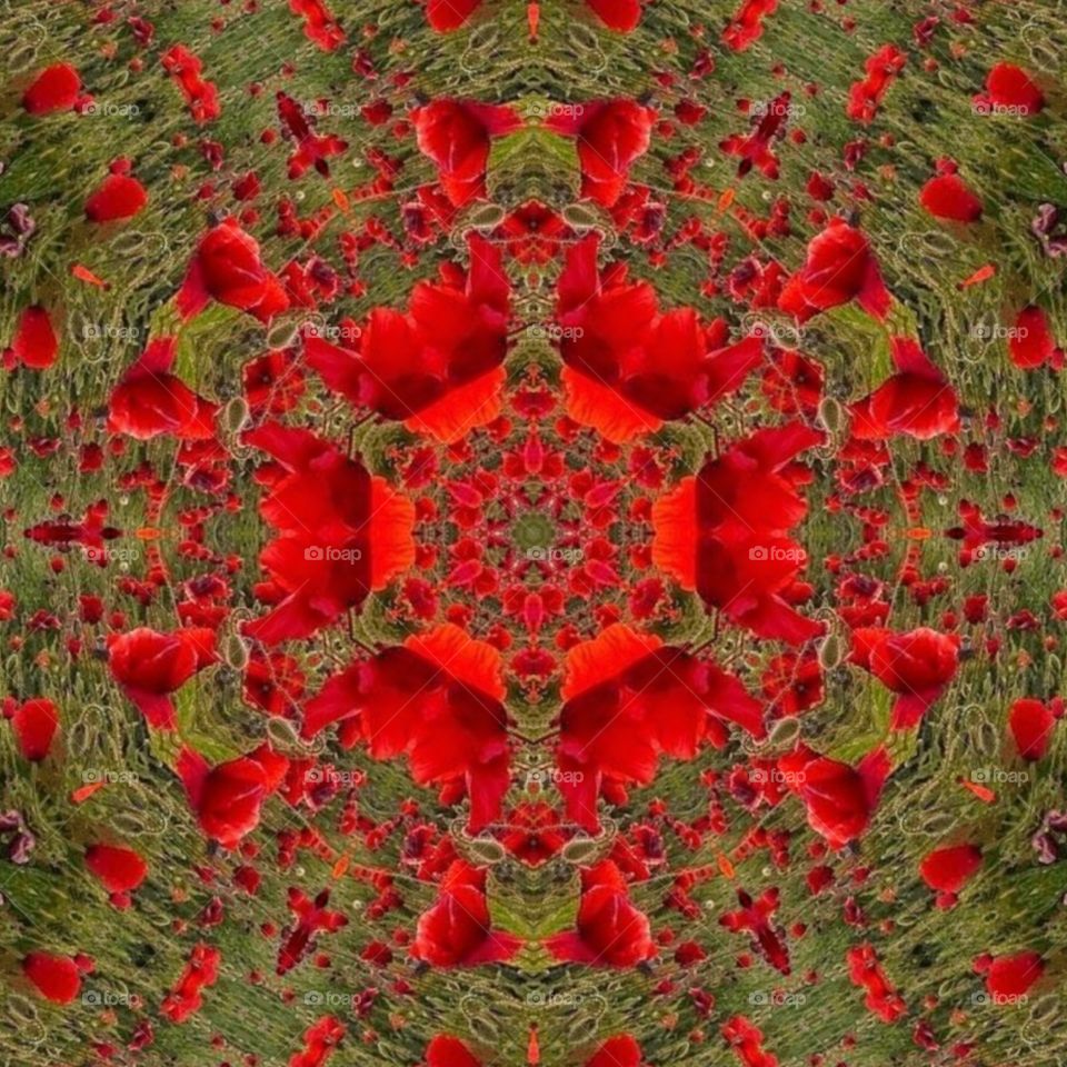 tulips kaleidoscope