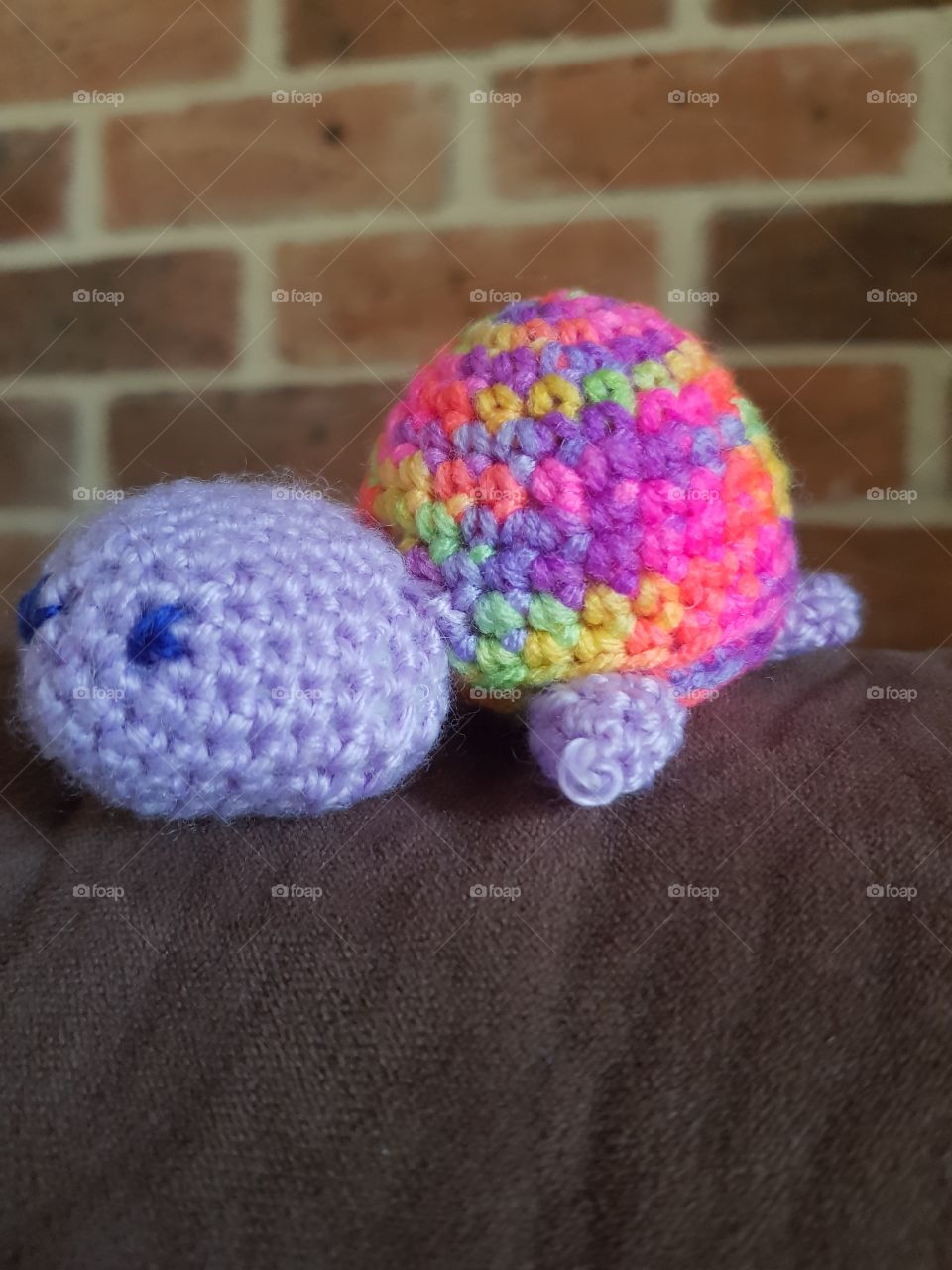 rainbow turtle