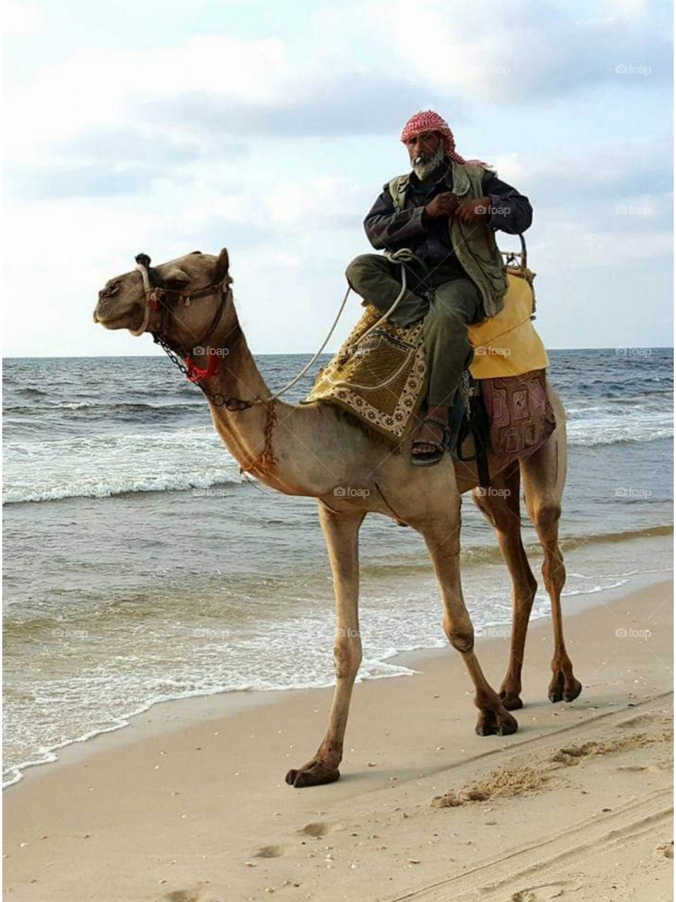 A wonderful shot that I filmed while the man was sitting on top of the camel and lighting a cigarette with comfort and pleasure
