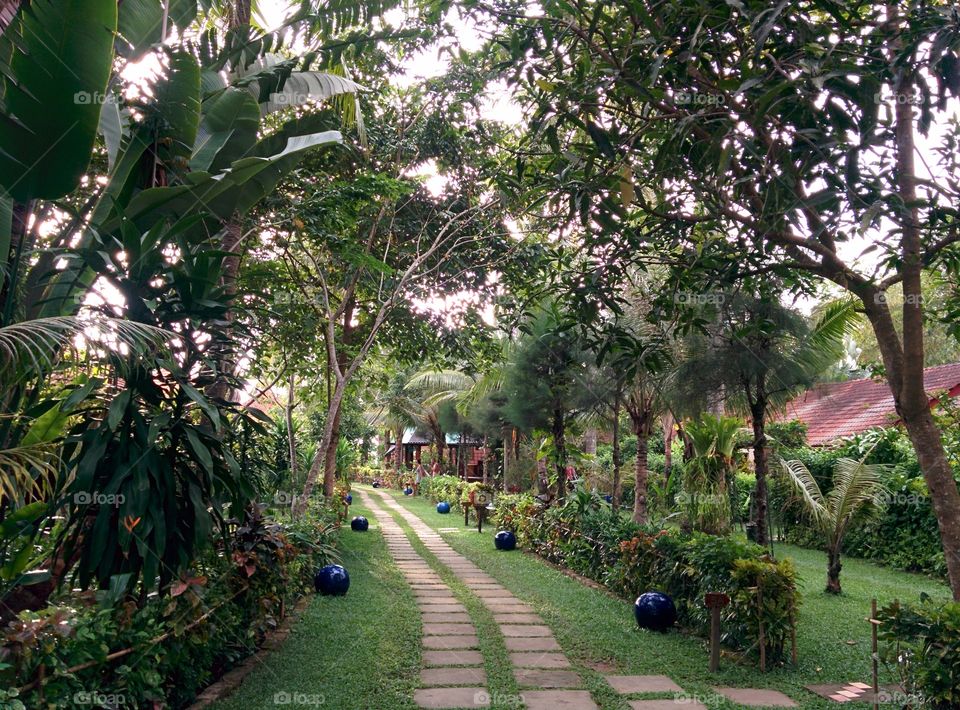 A beautiful path. Taken while on vacation in Pho Quoc Vietnam