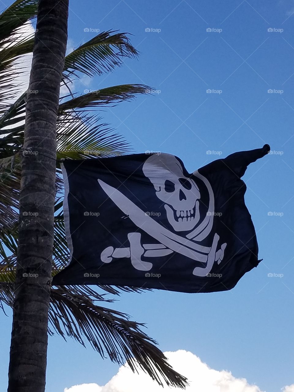 pirate, flag