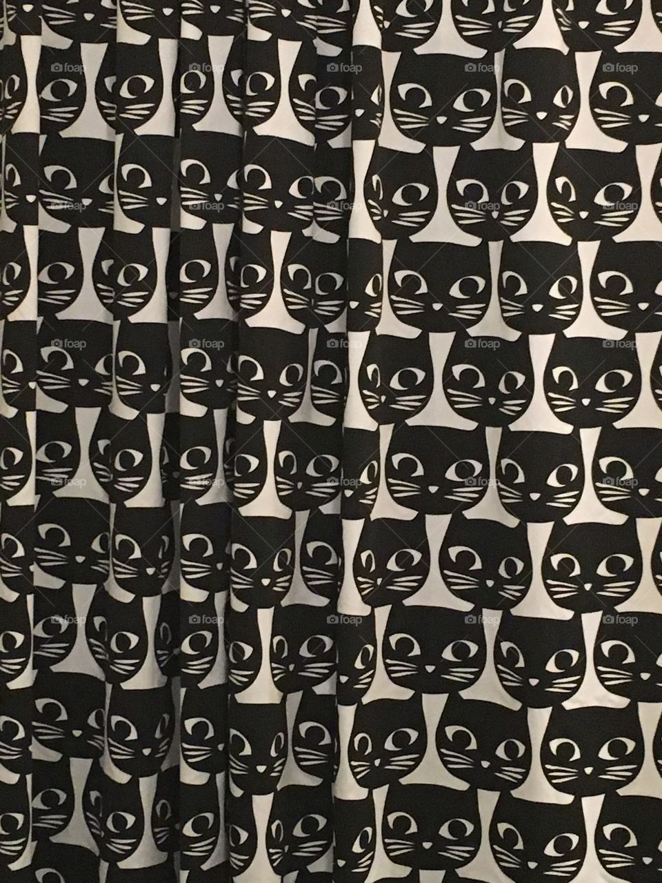 Wall 'O Cats