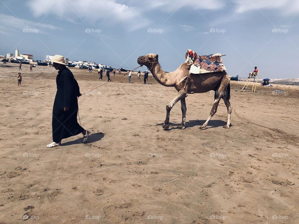 The man and the camel