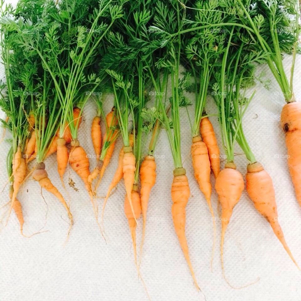 Carrots