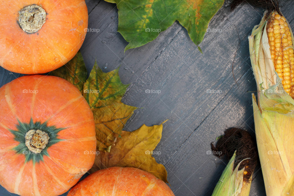 Vegetables, Halloween, pumpkin, corn, harvest, fertility, agriculture, food, cones, forest, birch branches