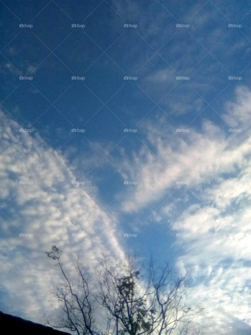 Hi I am pleased to show all off  my friends this beautiful pictures of what I am expected an so they  see what I see .