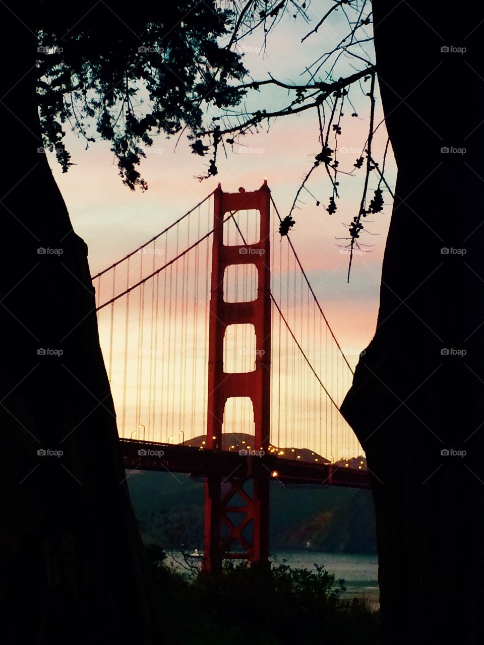 Golden Gate Bridge 