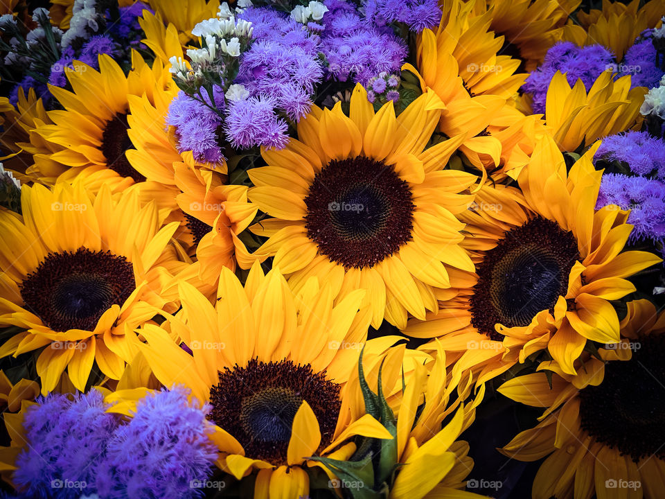 Colorful Sunflower Arrangement