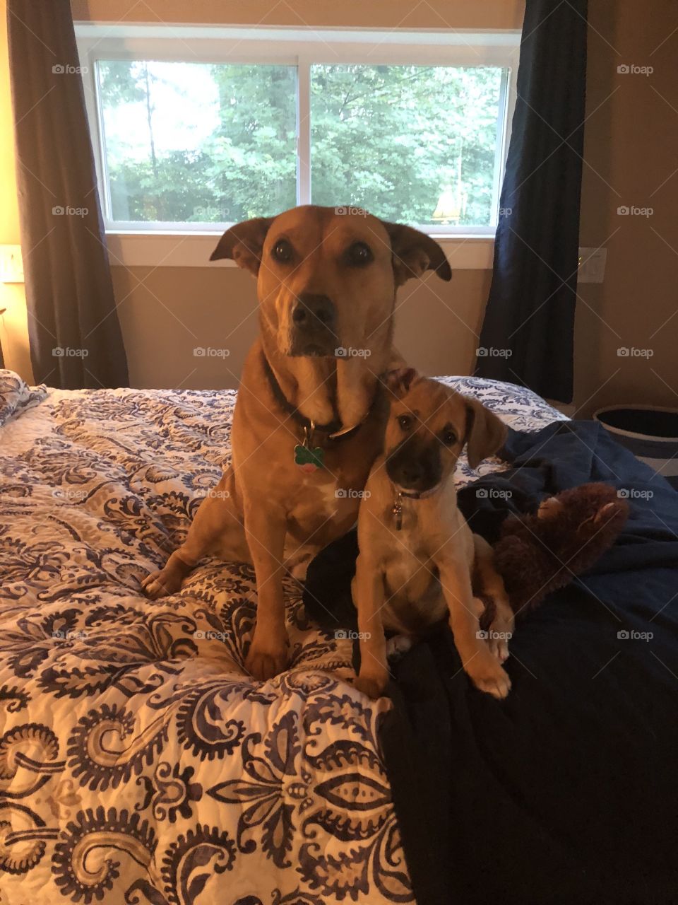 Best buddies- live from her new mommy