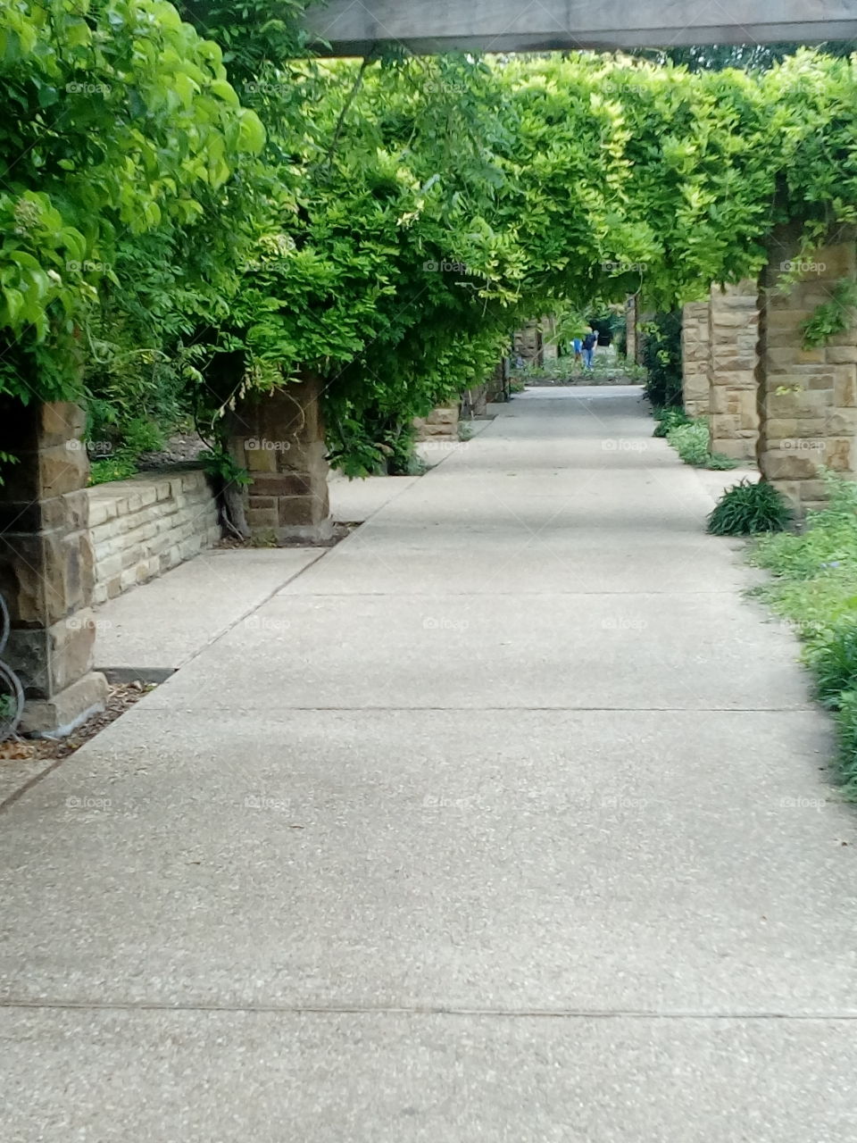 Garden Pathway
