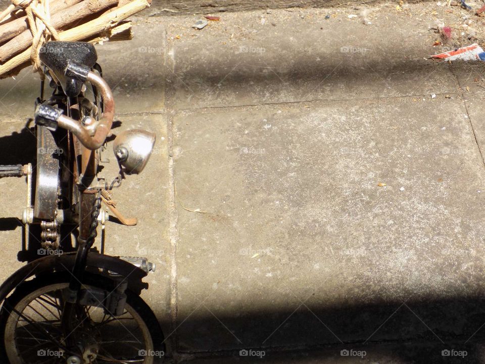 Looking for firewood