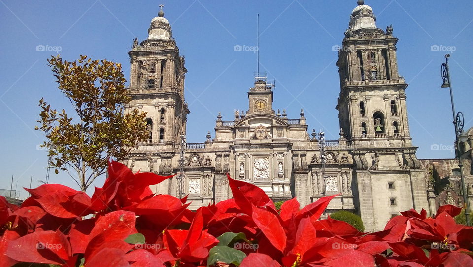 Ciudad de México