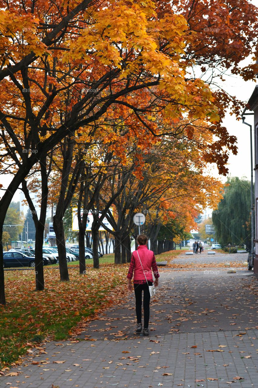 girl in autumn street walk