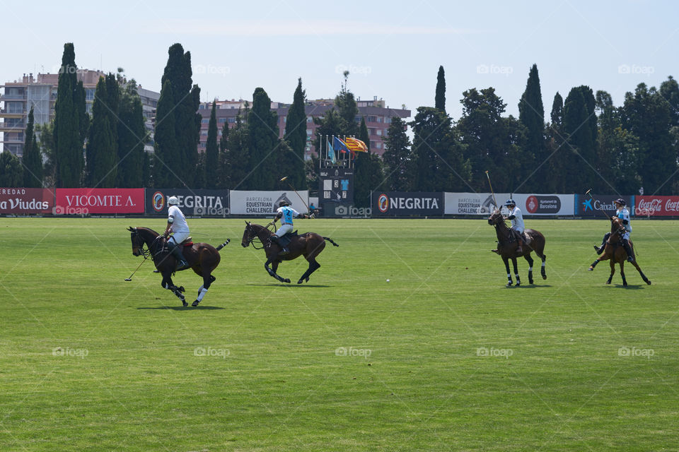 Partido de Polo