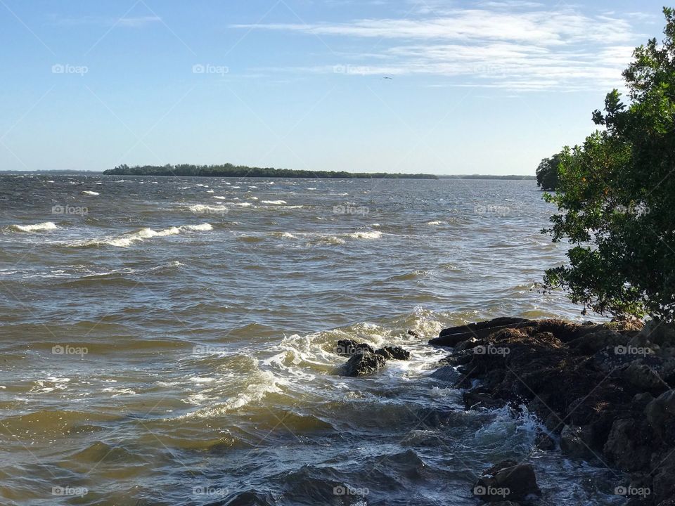 Waves pounding the coral coast.