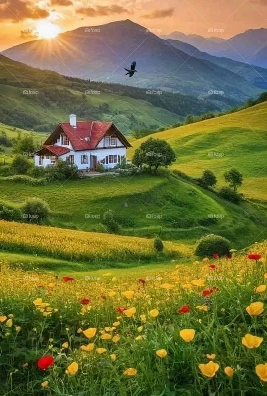 A very beautiful picture, and there is no better picture than it. There is no better picture of green herbs and colorful, red and white roses than it. Glory be to God, the natural and picturesque view, and there is no more