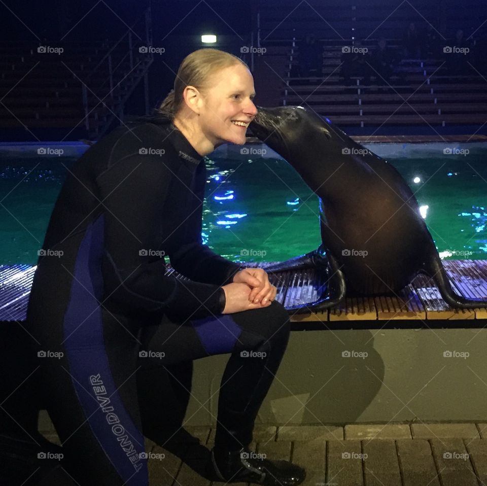 Sealions kiss