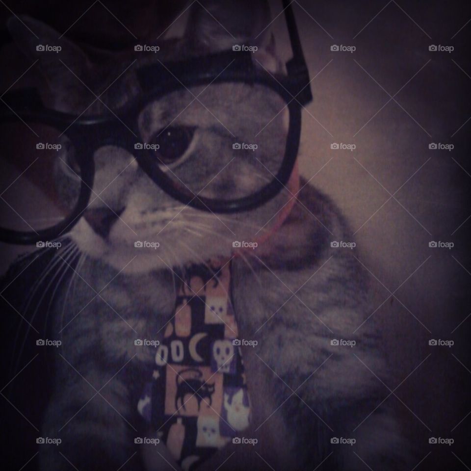 caturday selfie