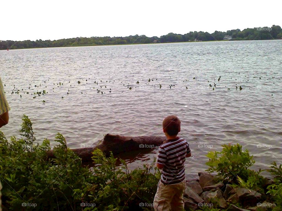 Throwing rocks