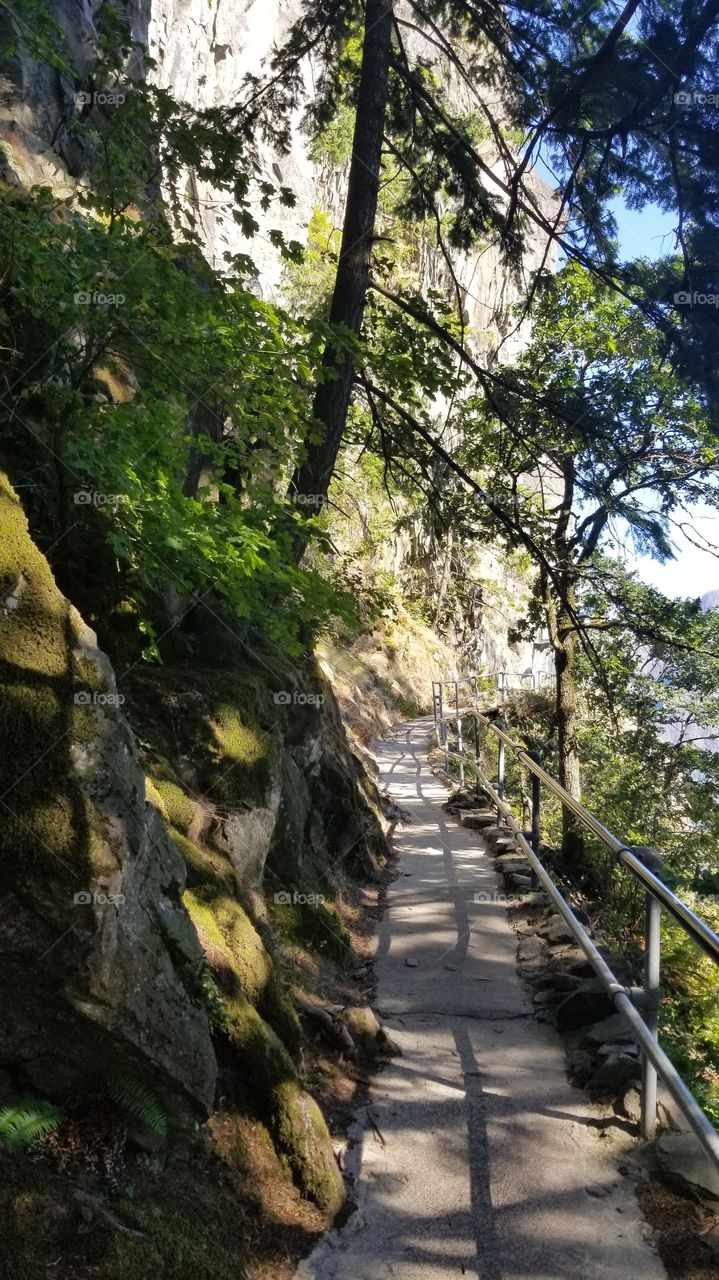 Beacon rock trail