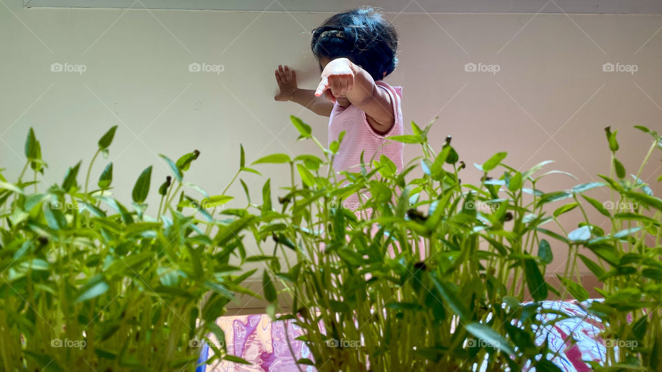 A kid and plants 