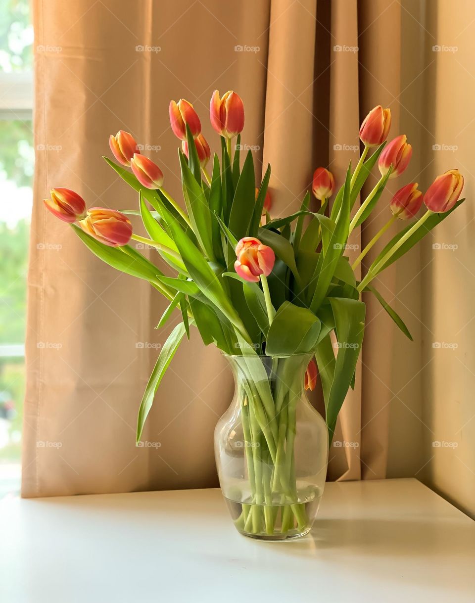 Tulips 